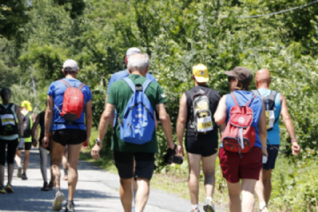 Via_Francigena_Marathon