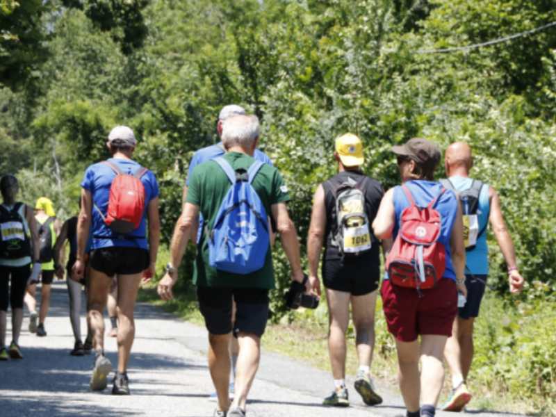 Via_Francigena_Marathon